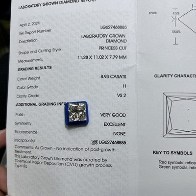 8.93CT H カラー VS2 透明性 2EX CVD 研究室 成熟したプリンセスカット ダイヤモンド
